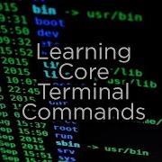 11 More Linux Commands Every Linux User Needs Learning Terminal Part 2