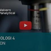 Morphologi 4 In Action
