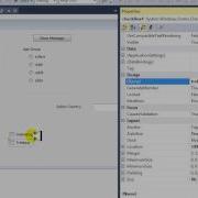 Using Radio Checkbox Combo Box In C