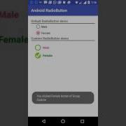 Android Radiobutton Customization Usage