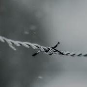 BONES BarbwireRibCage SLOWED TO PERFECTION Barbwire Rib Cage