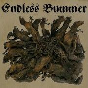 Endless Bummer Fritzl 2009 FULL ALBUM