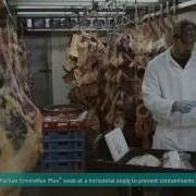 Environmental Swabbing How To Collect Samples From Meat