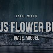 Wale Feat Miguel Lotus Flower Bomb Lyrics