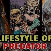 Lifestyle Of Predators Explored Hunting Culture Religion Diet Relationships Honor Code More