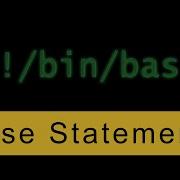 Case Statements Bash Scripting