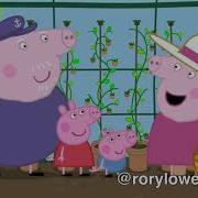 Aussie Peppa Pig Marijuana