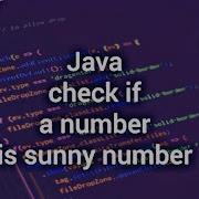 Check Sunny Number Use With Java Code