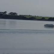 New Single Engine Hovercraft 1 2 Scale Electric Powered