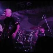 Chaska Sweet Lover Live
