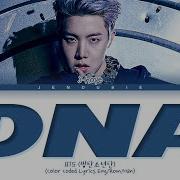 CD Only BTS J HOPE DNA DEMO VER Lyrics Color Coded Lyrics