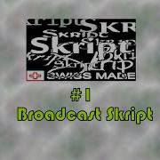 Minecraft Skript Coding 1 Broadcast