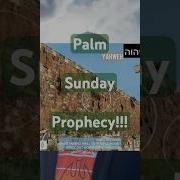 Palm Sunday Prophecy