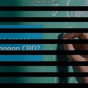 Component Based Development CBD