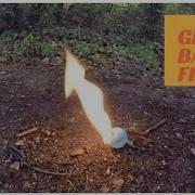 Ping Pong Fire Starter Celluloid