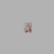 Simulated Swarms Through Complex Systems