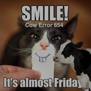 Cow Error 654