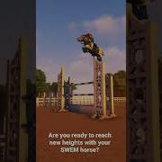 Flyin High Swem Starwormequestrian Horsegames