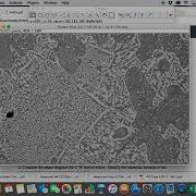 ImageJ Tutorial Area And Threshold