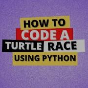 Turtle Race Using Python Beginner Project