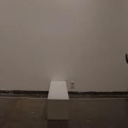 Dog Jumping Over Raised Platform Animation Reference Footage