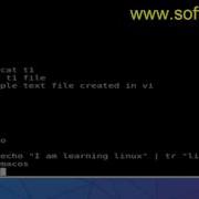 Difference Between Grep Cut Tr Sed And Awk In Arch Linux
