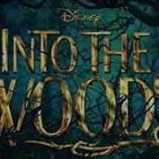 I Wish Into The Woods 2014