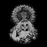 Mr Kitty Bleed Black Haus Of Glitch Remix