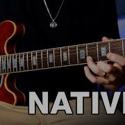 Blink 182 Natives Guitar Cover With The Mutt Pedal