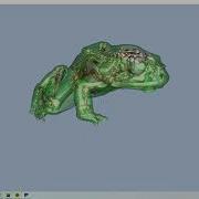 VTK Python Example FrogReconstruction Fig12 9a