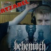 BEHEMOTH BARTZABEL SPORTO REACTS