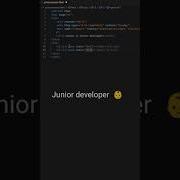 Junior Vs Senior Developer Shorts Short
