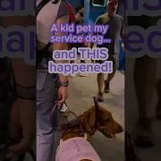 A Kid Touched My Service Dog Servicedog Dogtraining Disability
