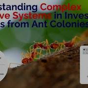 Understanding Complex Adaptive Systems In Investing Insights From Ant Colonies