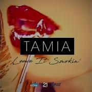 Tamia Leave It Smokin Official Audio