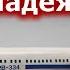 Ту 334 новая надежда Почему российскую авиацию законодатели РФ собираются отправить к праотцам