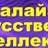 Искусственный интеллект сделает все за тебя Настройка микрофона в обс зквализация Smart EQ 4