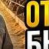 Моя откормочная площадка сколько зарабатывает 500 бычков в год откорм бычков
