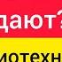 Цены на аудиотехникиу б у 04 06 26