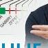 Анализ HLA HLA типирование при диагностике причин бесплодия и невынашивания беременности Гузов И И