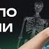 ВСЯ АНАТОМИЯ ДЛЯ ЕГЭ ПО БИОЛОГИИ ЧАСТЬ 1 NeoFamily