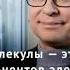 Магнитные молекулы и элементная база будущего Интервью с профессором РАН Михаилом Кискиным
