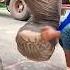 Papá Sacó Un Clavo Enorme Al Elefante