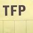 Что такое TFP Интервью с Владимиром Карленко