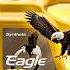 ПОЧЕМУ EAGLE НЕ ПРОДАЁТСЯ В ЮЖНОЙ КОРЕЕ И ЧЕМ ОН ЛУЧШЕ ZIC KIXX S OIL XTEER Anton Mygt