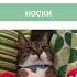 Спотлайт 2 класс Урок 14а новые слова It S Windy Cold Island Socks Jeans Shoes Skirt T Shirt