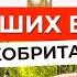 ТОП 10 ЛУЧШИХ ВУЗов Великобритании за 3 минуты