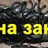 Обувь на заказ от KRAI и BBR Что они скрывают
