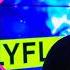 HOLLYFLAME Тону LIKE LIVE