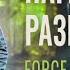 НАГРУДНИК НР 1М НАГРУДНИК РАЗВЕДЧИКА ОБЗОР FORCE LINE